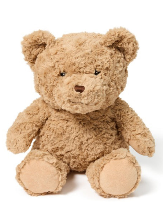 Brown Teddy for HTV